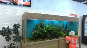 Аквариум 1200 литров