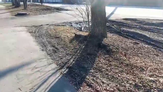 Меня преследуют!? Гуляю по городу. Показываю виды города. Влог. смотреть онлайн