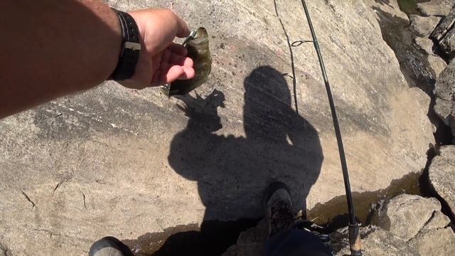 HOW TO FISH FOR CRAPPIES WITH POWER BAIT ATOMIC TEASERS AND GULP MINNOWS смотреть онлайн