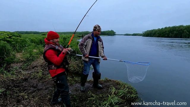 Рыбалка на Камчатке. Чавыча 2021. Вот это клев! Рыбалка на Камчатке на реке Большая. Камчатка. смотреть онлайн