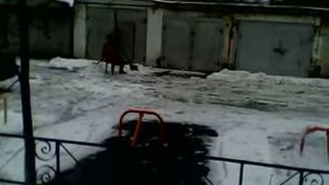 Мужик сидя чистит снег. Смешно) смотреть онлайн