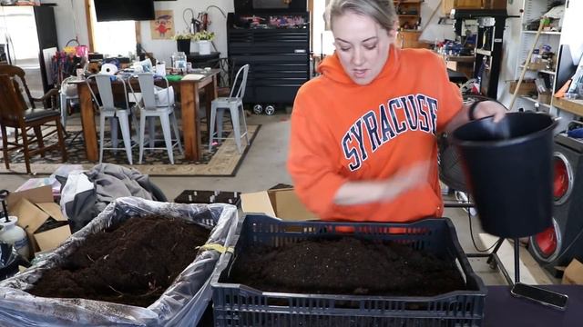 Starting Lilies in Crates : Flower Hill Farm смотреть онлайн
