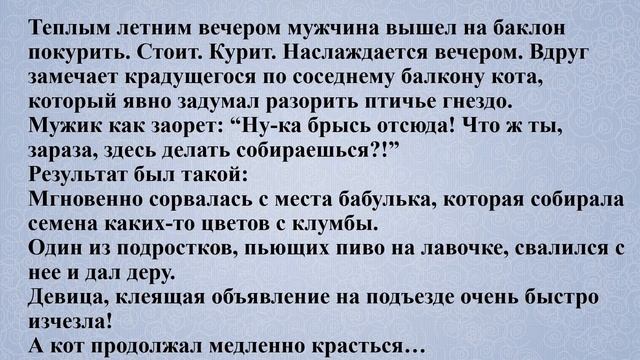 Смешные анекдоты для хорошего настроения Ч.79.!:) смотреть онлайн
