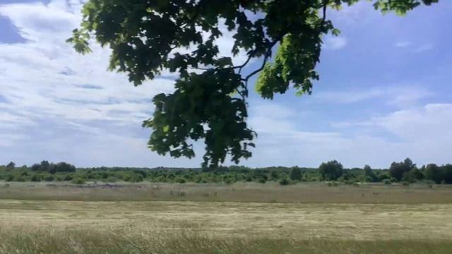 Поездка по туристическому маршруту 2 от Светлогорска до Янтарного завода смотреть онлайн