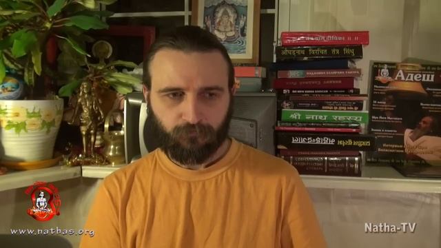 Пантхи смотреть онлайн