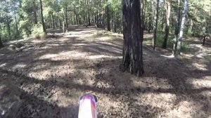 Обзор Ataki ef 250/тест драйв