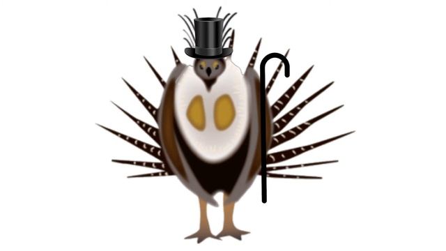 sage grouse go doot doot смотреть онлайн