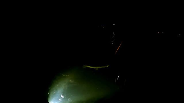 2 Underwater shoots :) Подводная охота смотреть онлайн