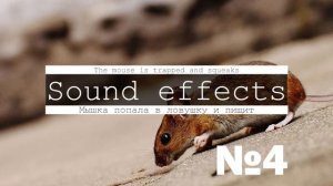 3д звук мышки, мышей, писк, крик, скрип, бег