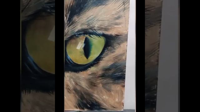 2_5370784589931355631.mp4