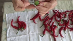 Лучшие способы хранения ГОРЬКОГО - ОСТРОГО ПЕРЦА