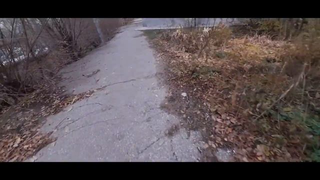 Видео-дневник: о отношении к работе дворников