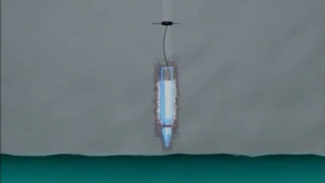 Alien Life Forms | UFOs & Aliens