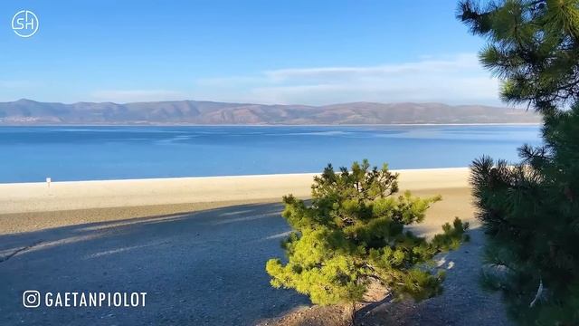 RILTIM, DNDM, DAVIT BARQAIA, IMAZEE, ZUBI, HUSSEIN ARBABI, MZADE, GHAMARNI, MYRIAM FARES #36