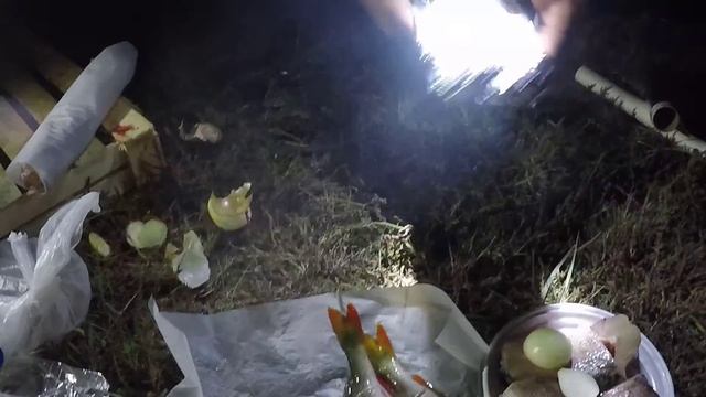 Окунь в фольге на углях вкусно смотреть онлайн