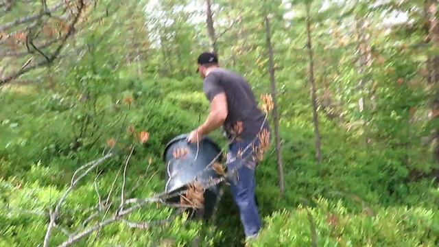 Работа в Финляндии. Сбор черники. Работа за границей. Garant Work Finland смотреть онлайн