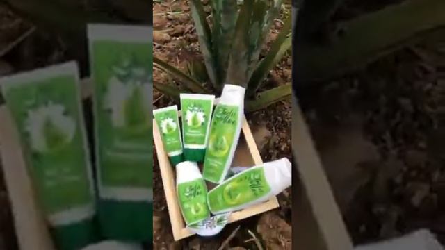 Lançamento Linha TODA ALOE uso diário com 5 produtos. смотреть онлайн