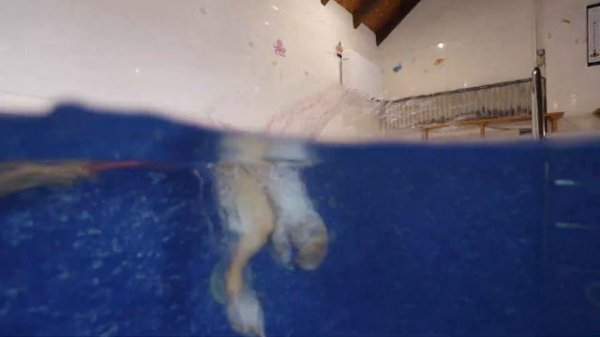 Vládík ve vodě. A hlavně pod vodou. Plaváček