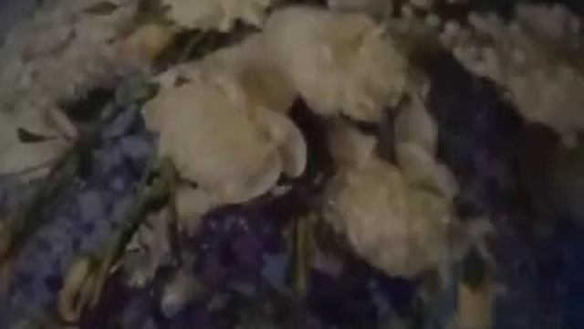 Сим-Сим (Сим-Сим откройся Сим-Сим отдайся)Серафима(наброски)