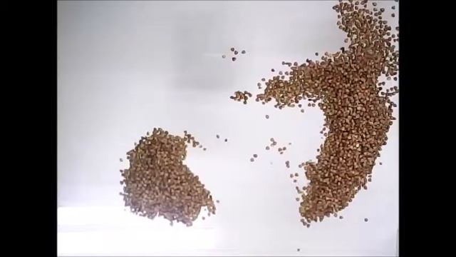 Сказка о гречневой каше