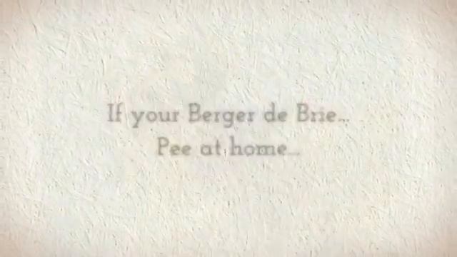 How To Train Berger De Brie смотреть онлайн