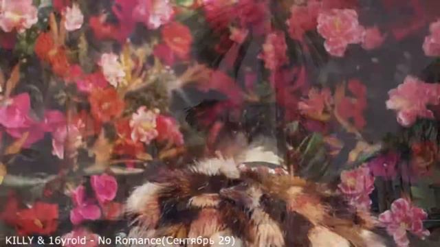 флеш вдохновляется смотреть онлайн