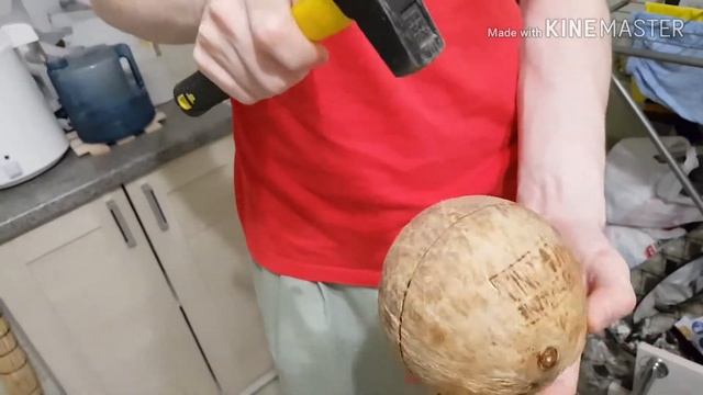 МАНГО из Тайланда! Пробуем ЭКЗОТИЧЕСКИЕ ФРУКТЫ Манго Таи, Рамбутан, Маракуйя, Кокос смотреть онлайн