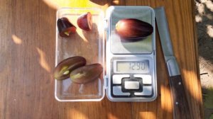 виноград Находка Калугіна