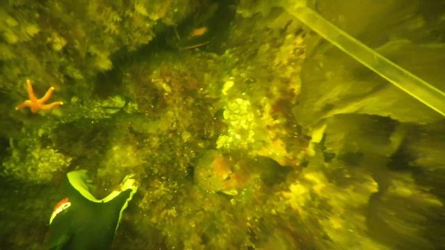 Вкусные десерты от Маргариты