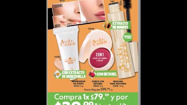 CATALOGO FULLER C1 MÉXICO 2020 ARIANA GARRIDO смотреть онлайн