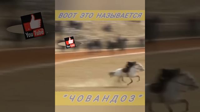 "ЧОВАНДОЗ", называется это! смотреть онлайн