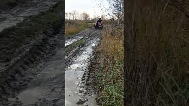 Мотороллер Муравей ,за дровами . по бездорожью. смотреть онлайн
