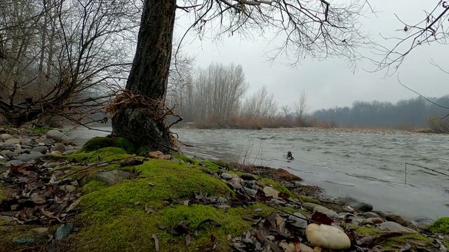 Я растолстела и стала ненужной мужу. Реальная история