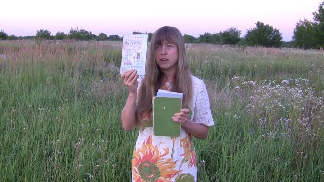 Обзор книг ► Витя Малеев в школе и дома. Гордость и предубеждение. Папа мама восемь детей и грузови смотреть онлайн