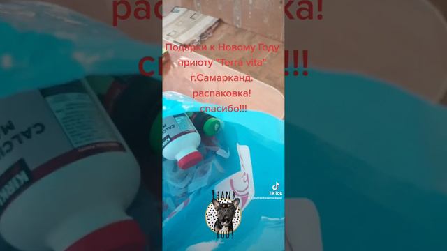 новогодние подарки приюту смотреть онлайн