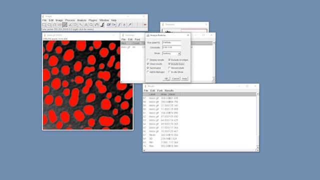 14. Автоматический поиск и сегментация в ImageJ смотреть онлайн