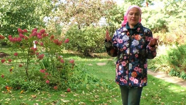 Осенняя обрезка растений. Как обрезать растения на зиму. Готовим сад к зиме. Ольга Воронова. смотреть онлайн