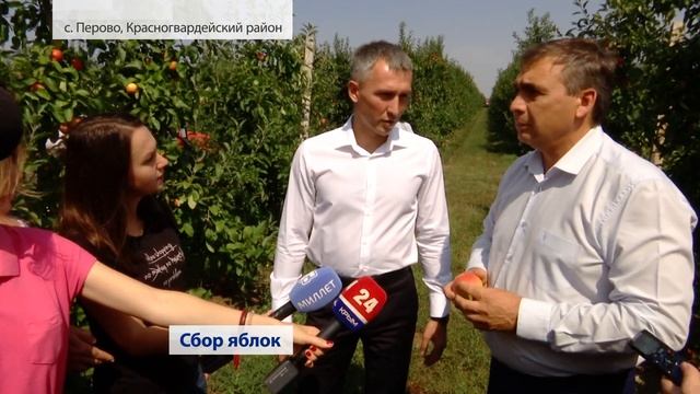 Сбор урожая яблок в Крыму (2019) смотреть онлайн