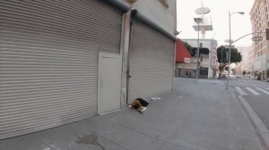 Город бездомных в США - О чем не говорят американцы.