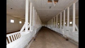 Родильное помещение для овец. Фермерское хозяйство "Катумы"