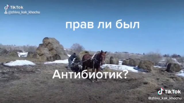 Рыба гниёт 👉с головы 🐟 смотреть онлайн