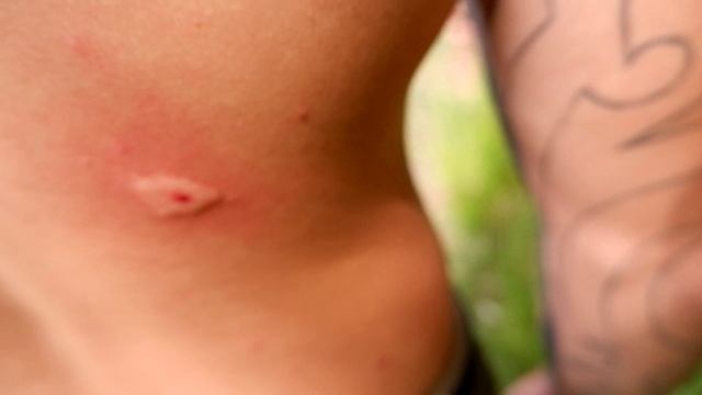 ХАРАБАЛИ база Дом Рыбака осень 2022 Дедушкин Хутор ШЕРШНИ КУСАЮТСЯ часть 2 #владимиррадеев #рыбалка