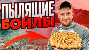 Пылящие бойлы на карпа.