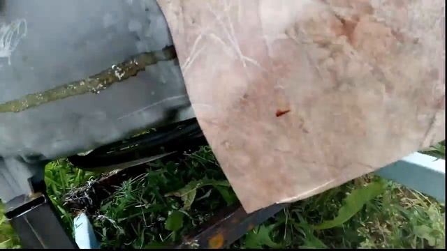 Перощипалка из стиралки минимум переделки от Андрея Ежова из Иваново смотреть онлайн