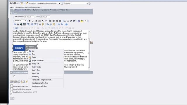 Adding Inline images into the Rich Text Editor смотреть онлайн