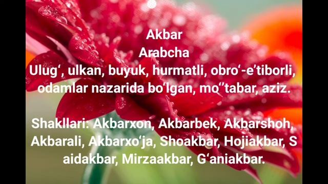Akbar ismining maʼnosi #Akbar смотреть онлайн