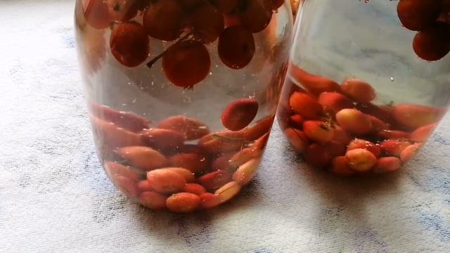 Компот. Алмадан Компот. Өте дәмді компот. Компот из ранетки. смотреть онлайн