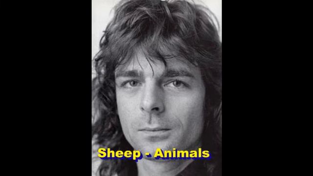 Rick Wright Solo Compilation