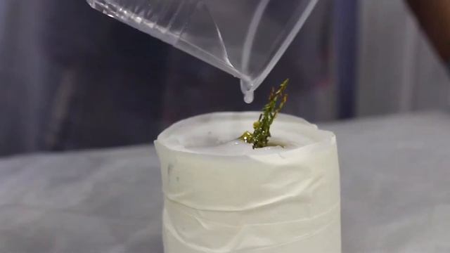 Прозрачная эпоксидная смола Poly Glass смотреть онлайн