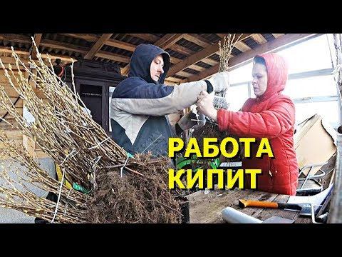 ГОРЯЧАЯ ПОРА // КАК СДЕЛАТЬ ЗАКАЗ НА УСАД.РФ // ИНТЕРНЕТ-МАГАЗИН // ПРОЕКТ САЖЕНЦЫ смотреть онлайн